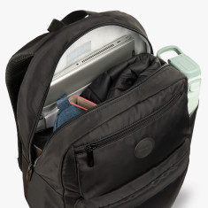 Morral Vivid