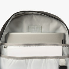 Morral Vivid